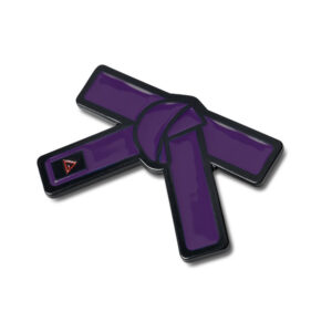 Pin de Faixa GB - Roxo